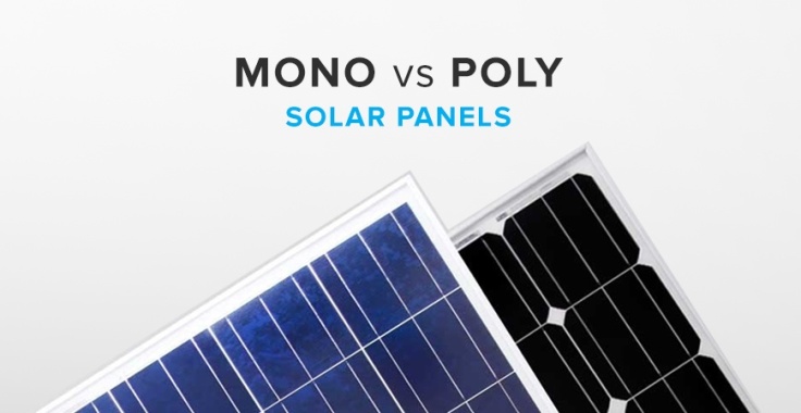 mono-vs-poly-blog